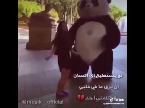 فتاه كوريه ت مع دب الباندة