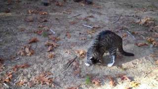 How to Dig a Cathole