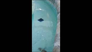 pool time #stopmotion #pool