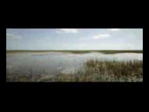 MOZGI - Алё Алё