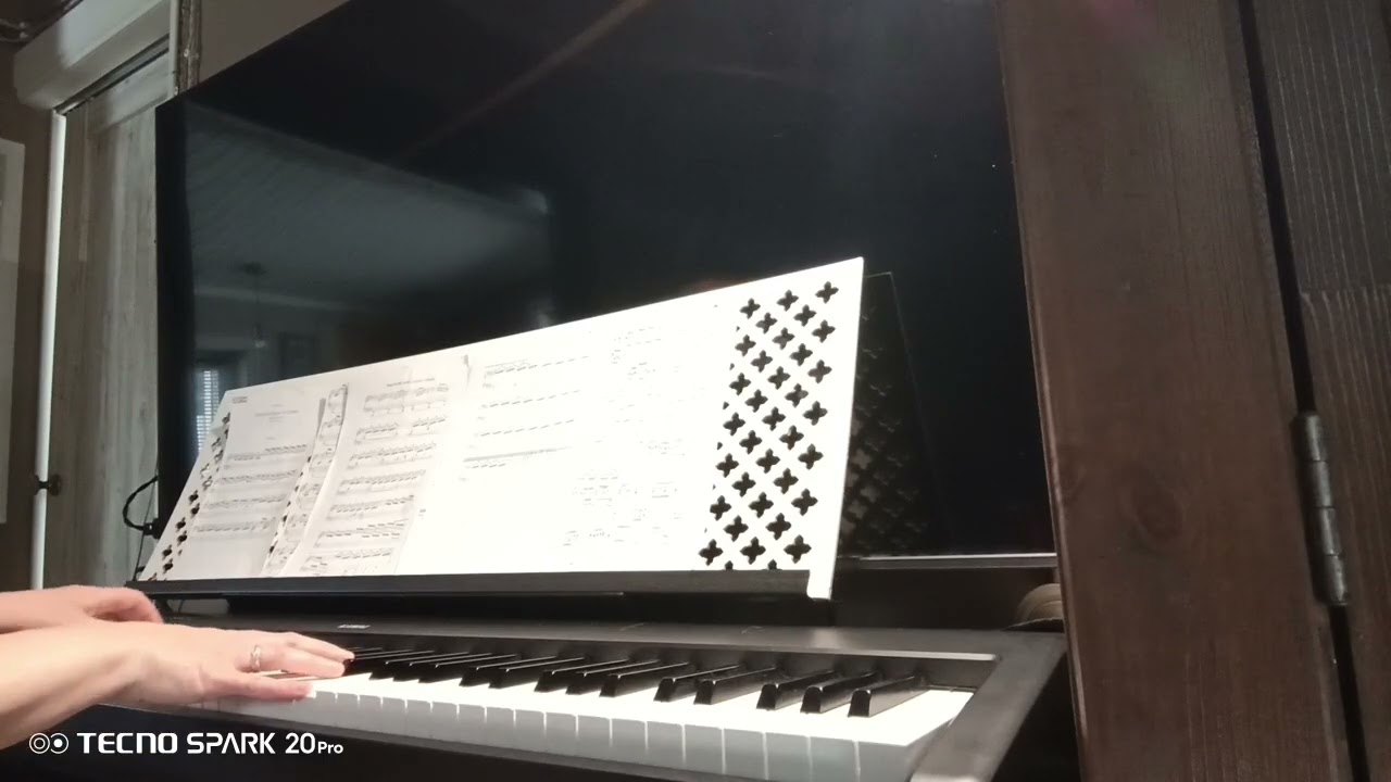 Л.Эйнауди. Элегия к Арктике.