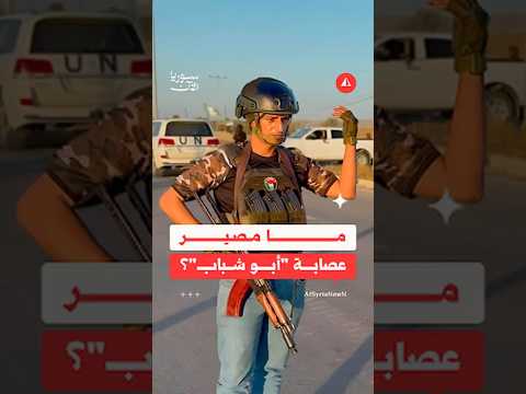 بعد وقف إطلاق النار في غزة ما مصير عصابة أبو شباب