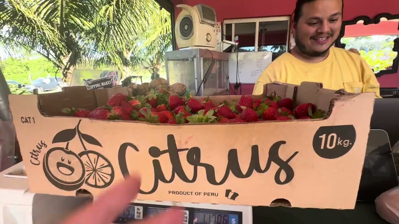 Маями 🌴Зима?Какая зима! 🍓 Собираем клубнику в январе под солнцем Майами