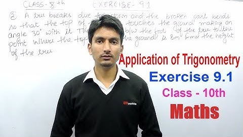 Chapter 9 Exercise 9.1 Q 2 - Some Applications of Trigonometry Class 10 maths - NCERT Solutions