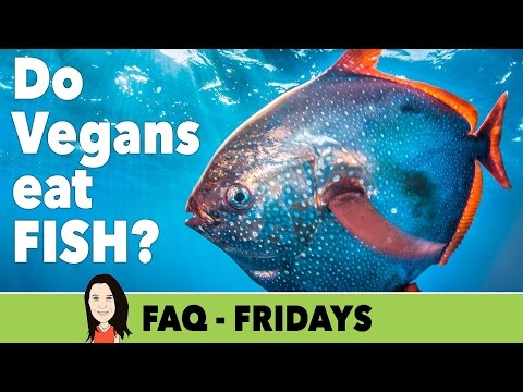 FAQ Friday: Do Vegans Eat Fish?