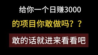 最赚钱的熊猫，投资项目赚钱，灰产揭秘，一部手机就能月入10万+的长期项目