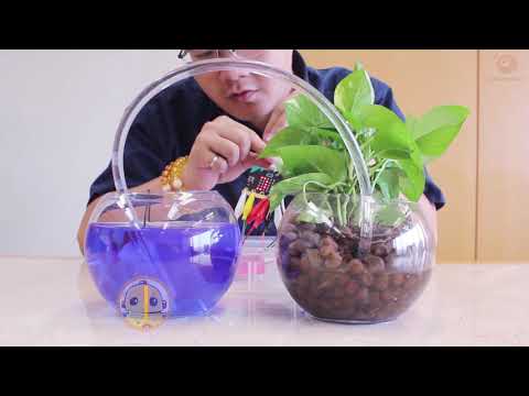 micro:bit-智能植物監控系統