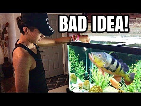 local fish stores around me