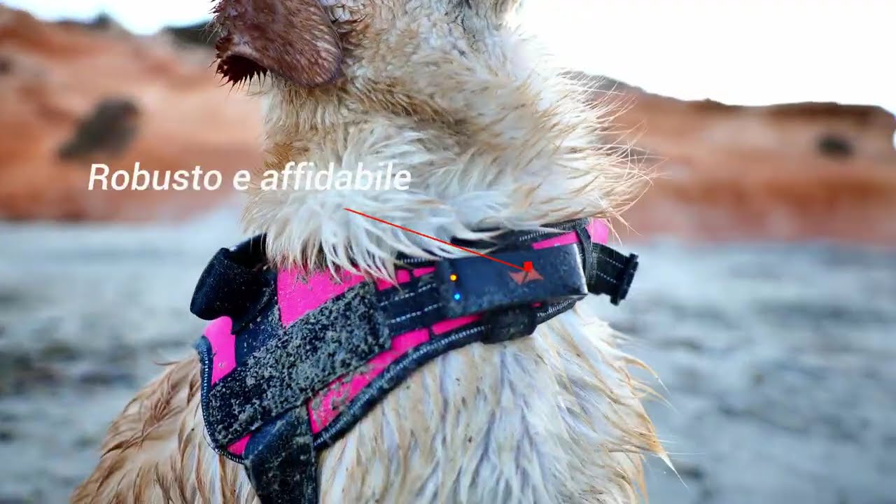 Localizzatore Per Cani Lnicez - Senza Canone Mensile - Compatibile Con App 'Find My' Di Apple - Impermeabile IP68 - Foto 14