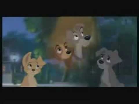 Always There (Family) Scamp's Adventure