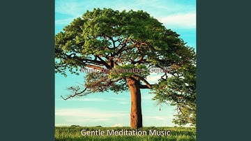 Scintillating Moods for Relaxation