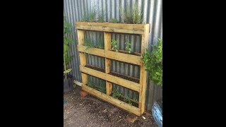 How to upcycle an old pallet to make a vertical herb garden or strawberry planter