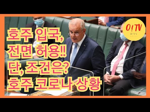 🇦🇺호주뉴스🌏#2월 8일 #호주소식 #호주입국, 전면 허용!! #단 조건은?