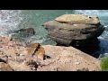 La Jolla Beach, San Diego, California