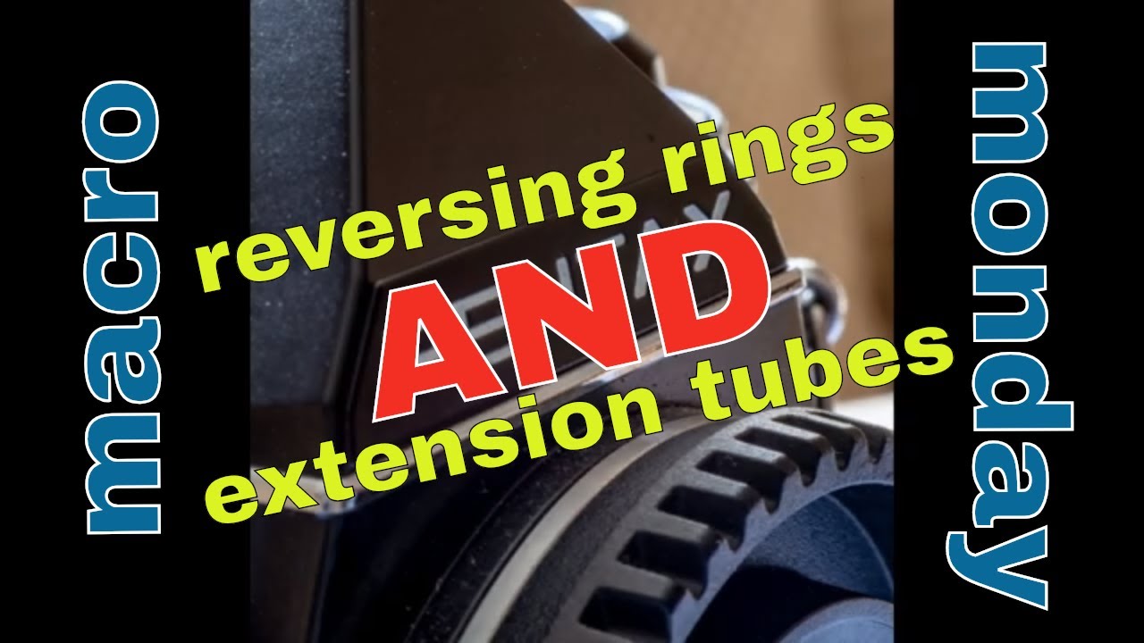 Macro Monday , using reversing rings and extension tubes.