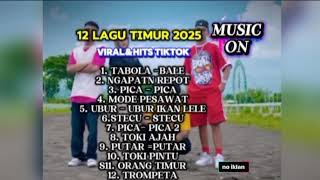 Download Lagu Viral Lagu timur 2025 MP3