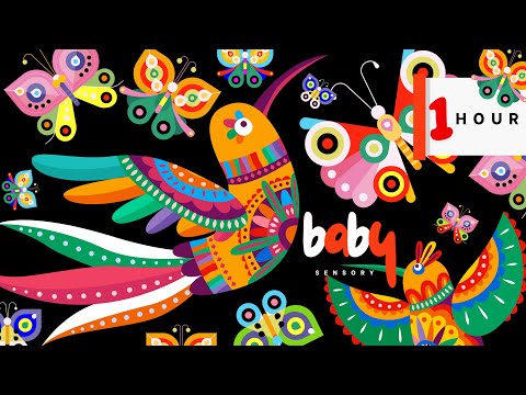 Bright Baby Sensory