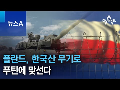 폴란드, 한국산 무기로 푸틴에 <strong>맞선다</strong> | 뉴스A