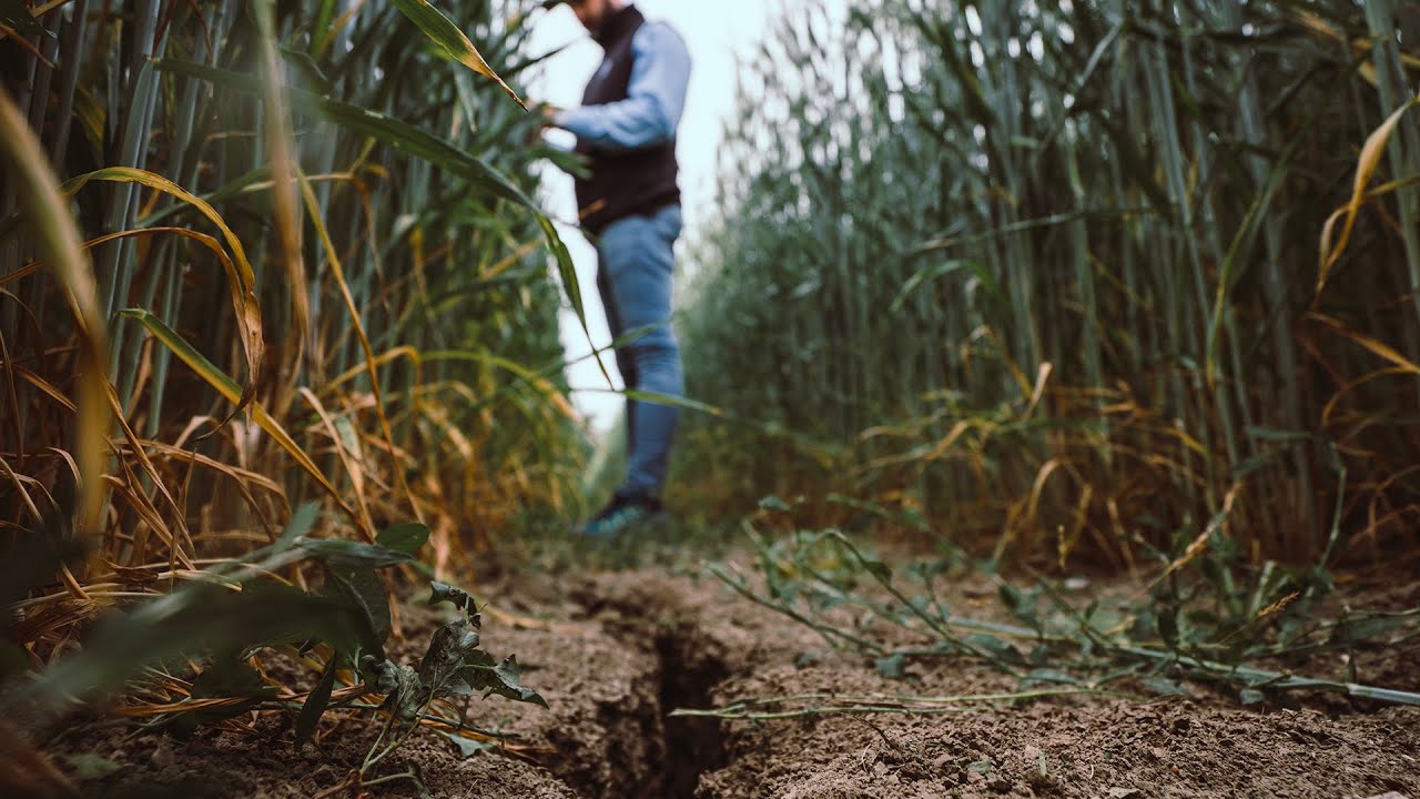 Agroteam Foraggi a 360