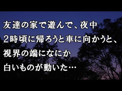 【修羅場　洒落怖】友達の家で遊んで、夜中２時頃に帰ろうと車に向かうと、視界の端になにか白いものが動いた…　【修羅場・洒落怖のぞき見チャンネル】