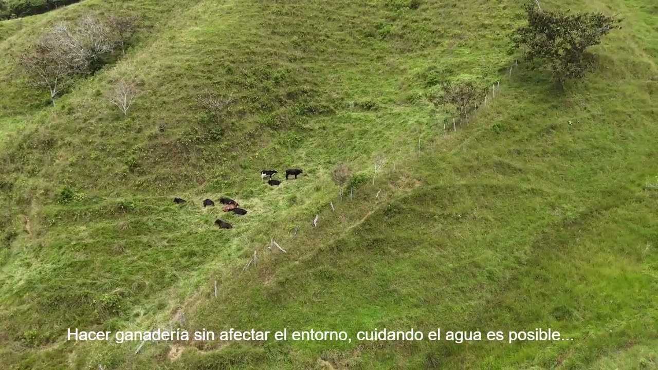 El arroyo del Legado