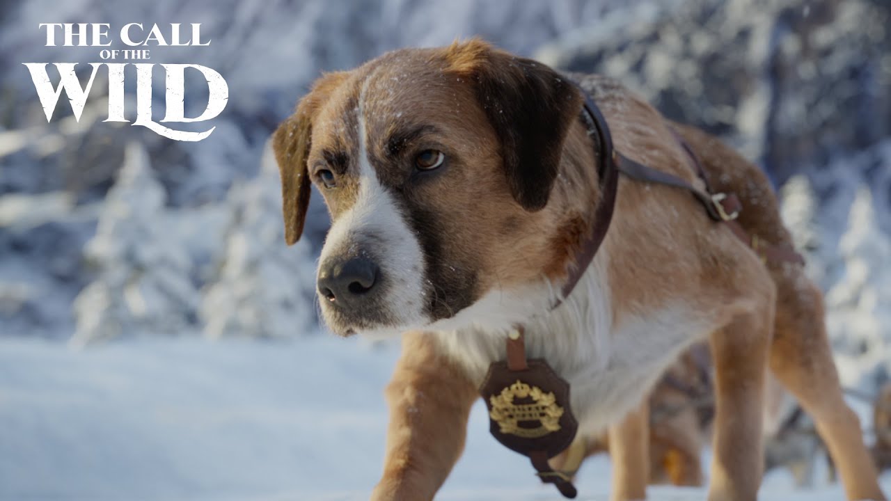  The Call of the Wild | New Lead Dog Clip