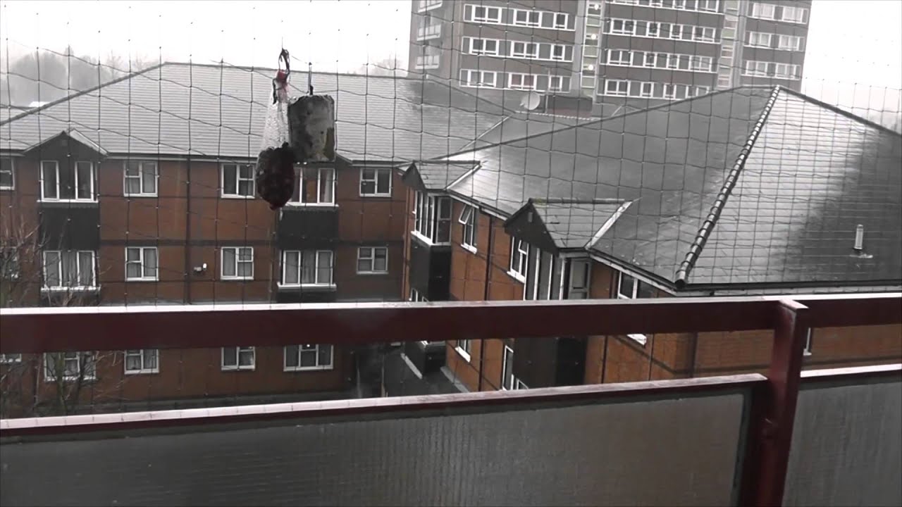 Bedford Weather Report YouTube