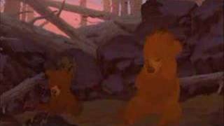 Brother Bear ( Arabic ) On My Way