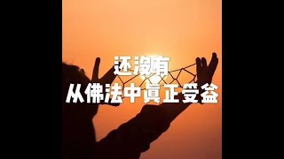 201710 还没有从佛法中真正受益22644