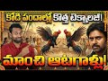2026 సంక్రాంతి కోడి పందాలు ఉంటాయా? AP High Court Strict Orders on Cockfights Pawan Kalyan Comments