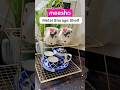Meesho Multipurpose Storage Shelf Rack Finds #shorts