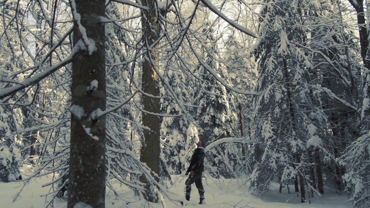 selecting trees - the cabin ep 1