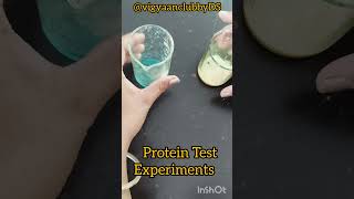 #proteintest#experiment #learningscience #learningbyplaying #class6#science #explore
