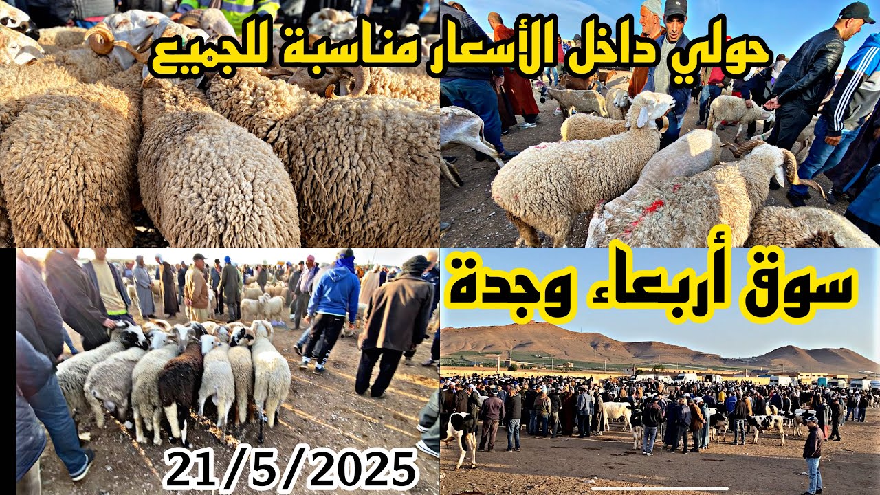 مباشرة سوق الأربعاء وجدة حولي مليح داخل السوق الأسعار ناضية الأجواء زاهية