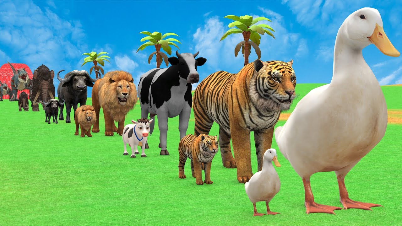Long Slide Game with Cow Elephant Gorilla Hippopotamus Tiger 3d Animal Game Funny 3d Animals