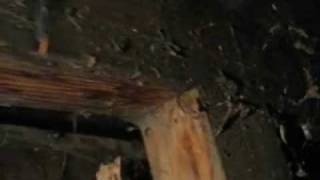 Watch Gza Luminal video