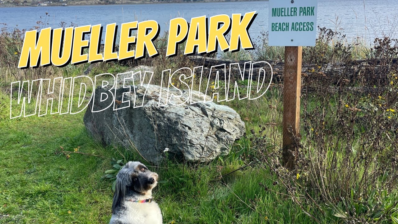 Exploring Mueller - Penn Cove On Whidbey Island: A Water Access Adventure