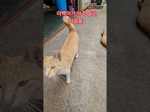 덕선이네 가족 #덕순 #삼형제집사 #퇴근 #부산강서구