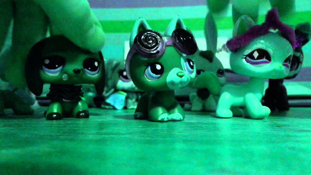 LPS Mv: Splish Splash by Bobby Darin (for 51 Cheesecurls!) - YouTube