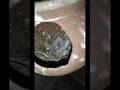 Amazing eggs-finches chicks #shorts #viralshorts