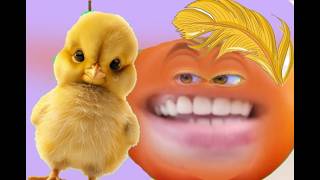 Tomat Lebay - Anak Ayam