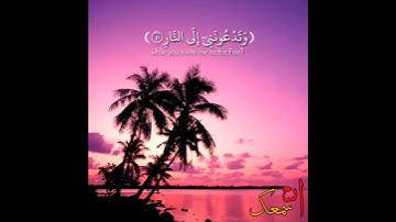 ارح سمعك❤ سورة غافر❤/ القارئ: احمد النفيس❤