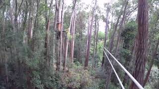 Kohala Zipline - Big Island Hawaii - Zip to Land
