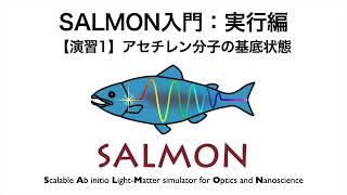 salmon-youtube