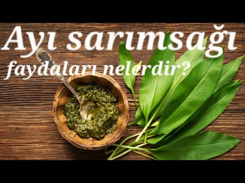 Video: Marine edilmiş yabani sarımsak - vitamin deposu