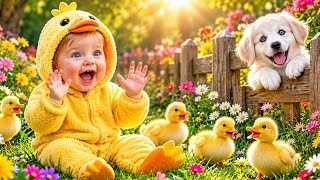 Details Peek-a-Boo Hide & Seek with Animals | Baby Fun Giggles & Cute Animal Friends! News