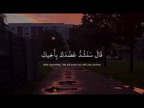 سورة القصص _ (قال سنشد عضدك بأخيك ونجعل لكما سلطانا فلا يصلون إليكما 🥹🫂) #حالات_واتس #ستوريات_انستا