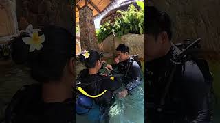 Open Water Diver Course @ Pattaya