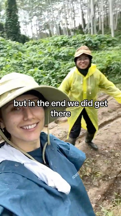 Going to check on your trees in the Indonesian jungle 🏃