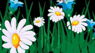 Relaxing music with honey bee beautiful flowers screenshot 4